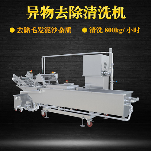 果蔬氣泡翻洗機，有效清洗，過濾泥沙