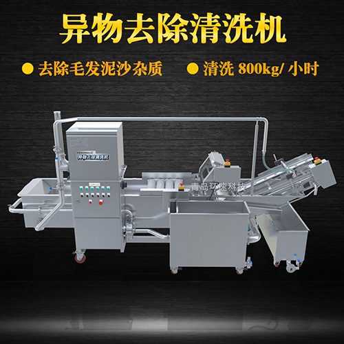 多功能水果清洗機，氣泡清洗，清洗800kg小時